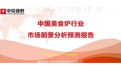 中国美食炉行业市场前景分析预测报告
