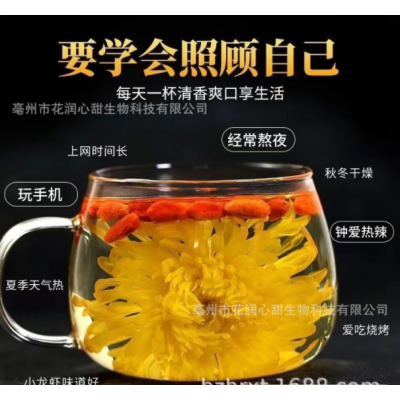 枸杞菊花茶大朵金丝皇菊一朵一杯花茶胎菊茶红枸杞茶