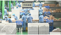 链式发展助推河南通许打造“中国酸辣粉之都”