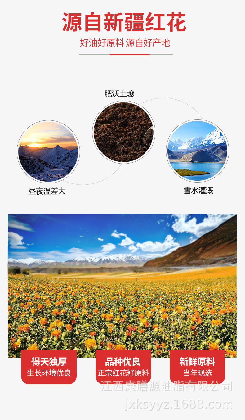 红花籽油_03.jpg