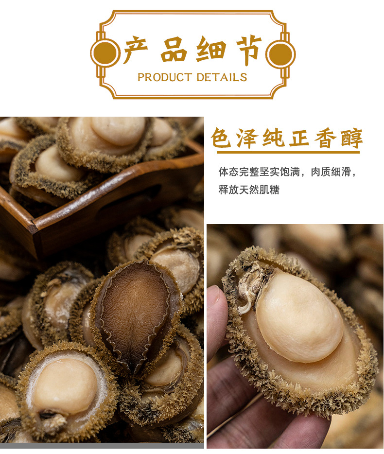 南非鲍鱼_05.jpg