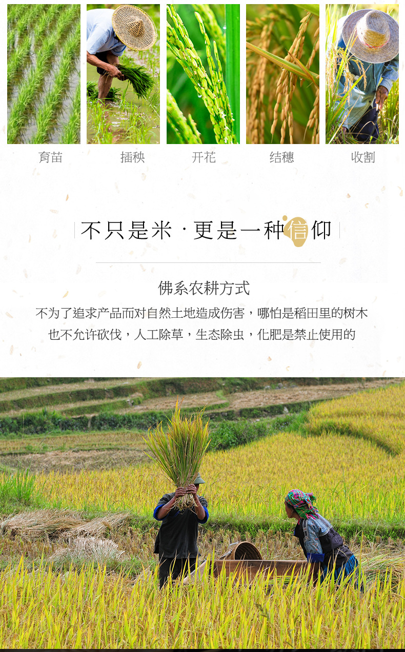 蓝色小农粘_07.jpg