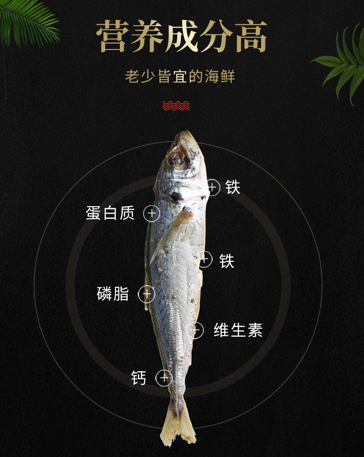 福建东山巴浪小鱼干