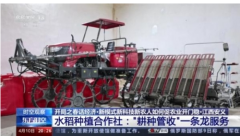 新模式、新科技、新农人如何促农业开门稳？