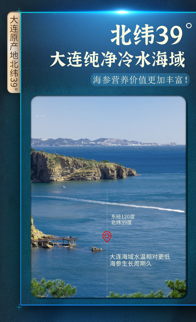 海参详情页_04