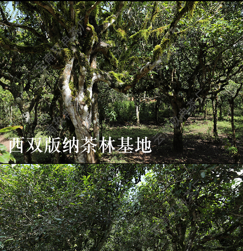 糯香小茶饼(非礼盒)详情页_08