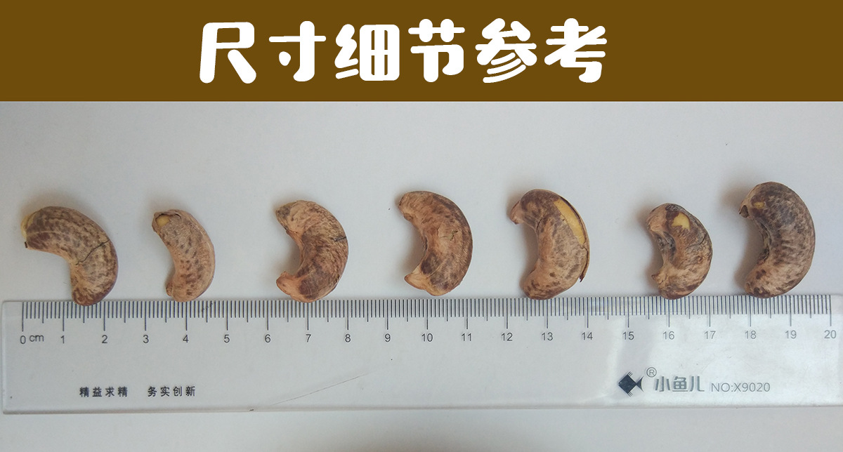 微信图片_20210331190610
