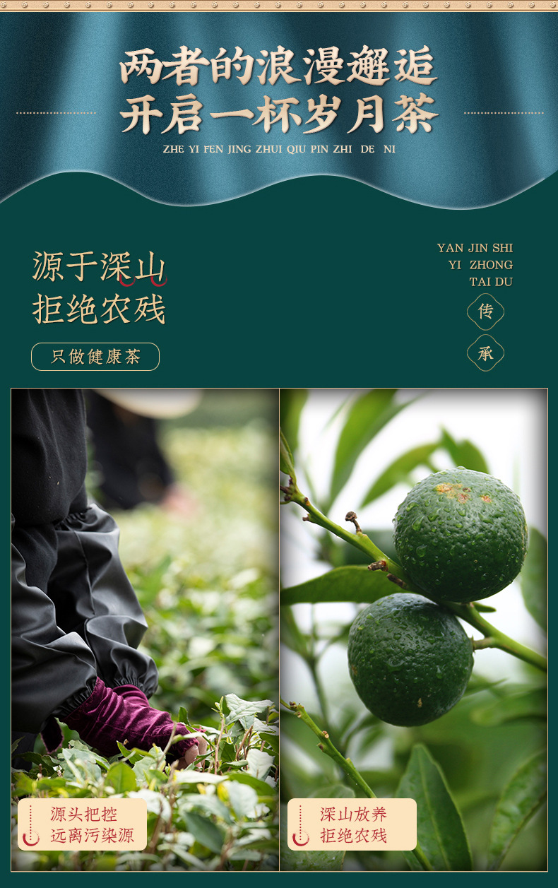 陈皮白茶111500克_08.jpg