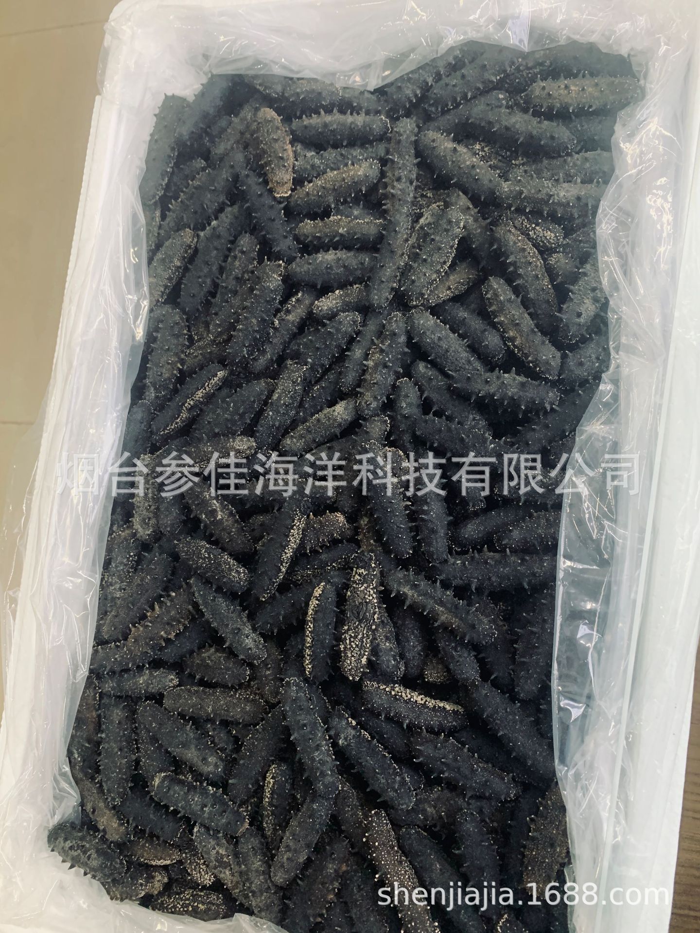 微信图片_20210514080740.jpg