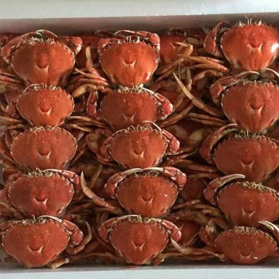 厂家批发熟冻招财蟹冷冻招财蟹自助餐酒店餐厅特色海霸王商用食材