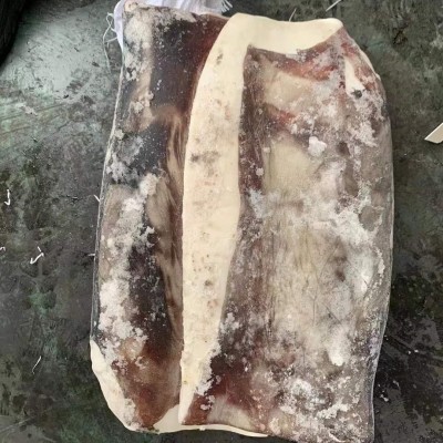 船冻秘鲁鱿鱼大片冻片 船冻鱿鱼大肉片 海产品速冻鱿鱼批发