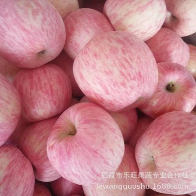 烟台苹果 给淘宝供货 产区行情 2001条纹80#1-2出库价 净重10斤装