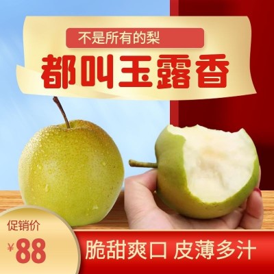 山西临汾隰县玉露香梨新鲜孕妇水果梨子应季包邮现摘当季10斤香梨