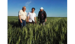 中哈携手共筑农业繁荣之路