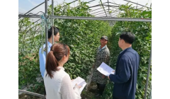 徽州区：加强农产品监测管理