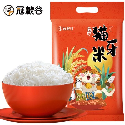 冠粮谷猫牙米做煲仔饭籼米入口软糯当季新米5kg真空包装批发