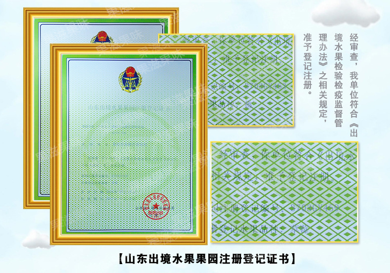 产品展示_01