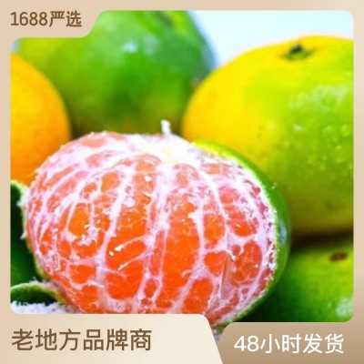 浙江临海涌泉蜜桔现摘新鲜橘子青皮当季水果桔子无核一件代发包邮