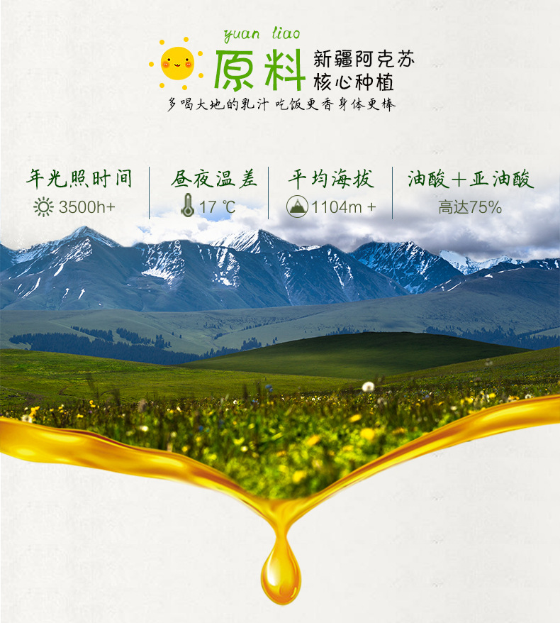核桃油铁罐250ml_12.jpg