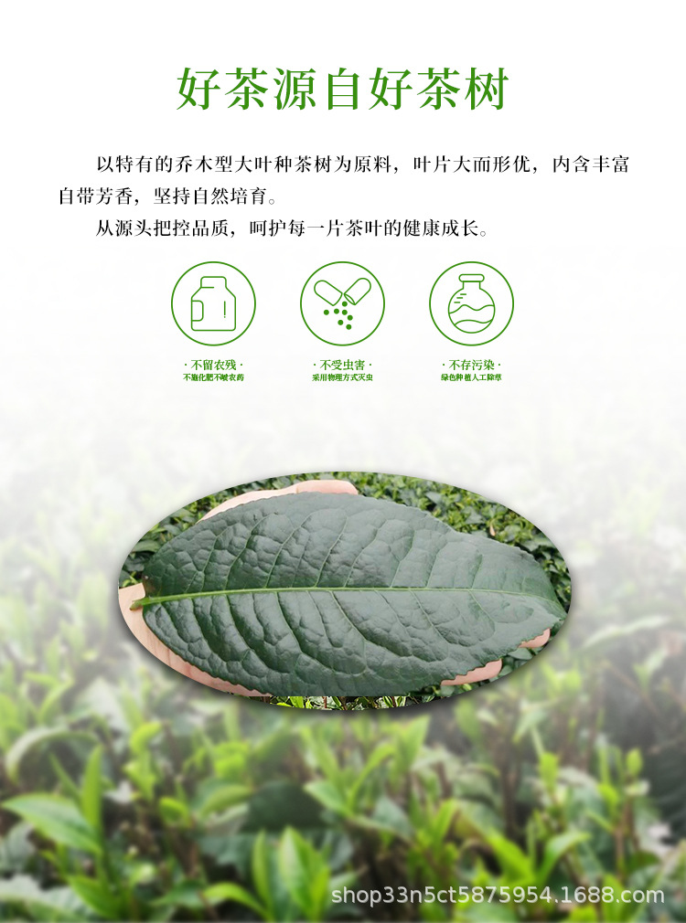 英德红茶英红九号100g详情页_03.jpg