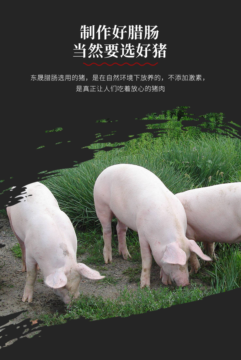 250克中肠贴纸(推)_05.jpg