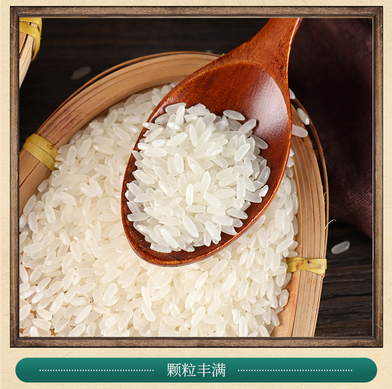 大米内页_10
