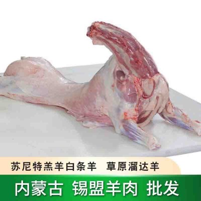 内蒙古锡盟羔羊肉绿爱全羊白条生羊肉新鲜整只烧烤食材厂家批发
