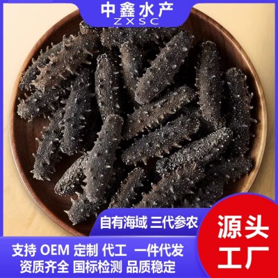 大连淡干海参批发工厂原料散货干参非即食海参新鲜干货源头厂家