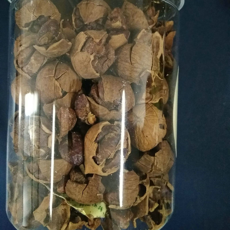 3_1_鍓湰