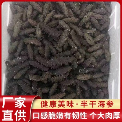 源厂直供大火海参大火半干海参佛跳墙原料口感脆嫩有韧性个大肉厚