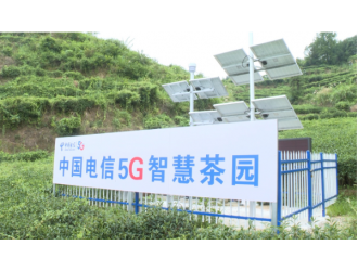 英山：小茶叶大智“惠” 5G赋能为茶园装上“最强大脑”