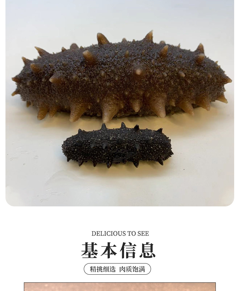 电商直供特级海参1_08.jpg