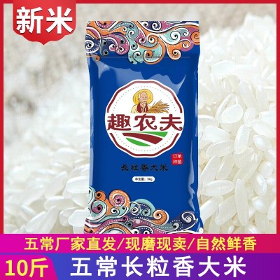 趣农夫 东北五常大米5kg 长粒香米新米特产农产品厂家直批代发