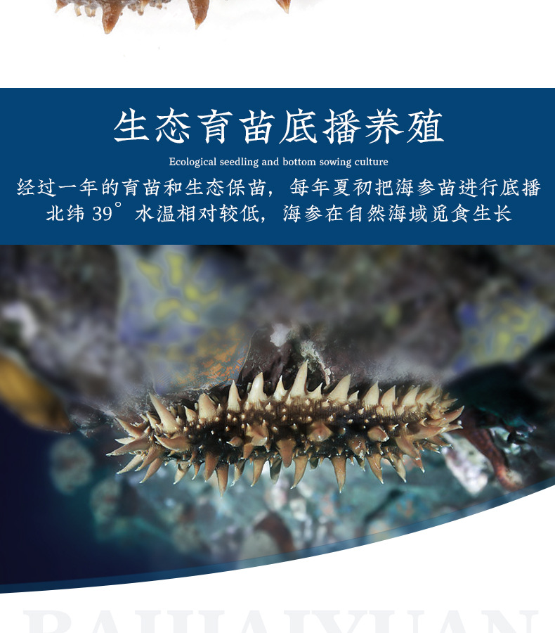 详情2_04
