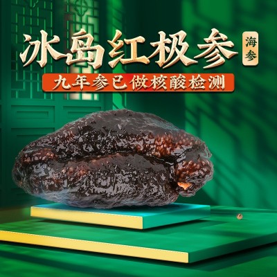 厂家直供批发即食海参500克 冰岛海参红极参货源 代发冰岛红极参