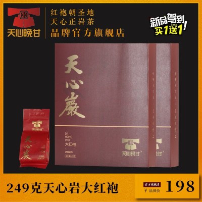 天心晚甘 249g天心岩大红袍 中火果香武夷山大红袍肉桂口粮茶叶