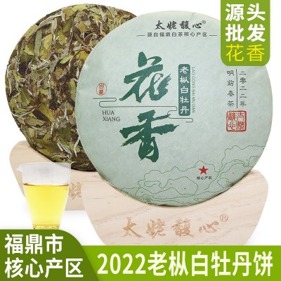 2022年福鼎白茶白牡丹饼磻溪明前春茶花香茶叶核心产区源头批发