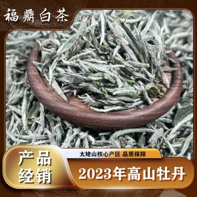 2023年头采白毫银针福鼎白茶散茶新茶太姥山脉核心产区茶叶批发