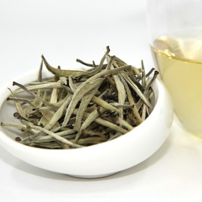 批发云南白茶2023年春茶明前白毫银针头采新茶景谷大白芽 白茶散茶