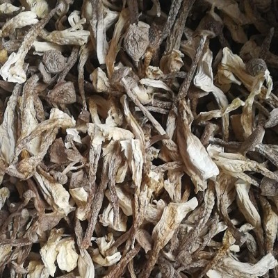 叶小玲新货鹿茸菇干货福建古田菌菇磨菇食用农产品250g推荐