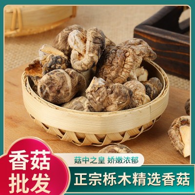 产地直发随州干香菇香菇剪脚无根肉厚小香菇蘑菇冬菇食用农产品