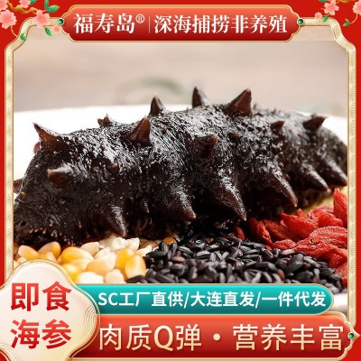 即食海参批发单个装速食大连海参辽刺参海生鲜活速食即时野生海参