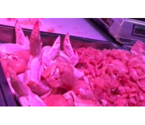 你买过这样的鸡爪子吗？#鸡爪 #凤爪 #食品安全 #涨知识