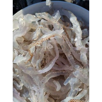 源头厂家5斤盐渍海蜇丝桶装袋装凉拌海蜇头非即食海鲜凉拌海蜇皮