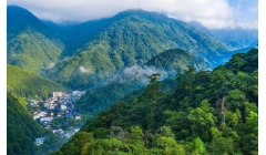第十六届武夷山“中国茶乡杯”茶王赛颁奖典礼举行