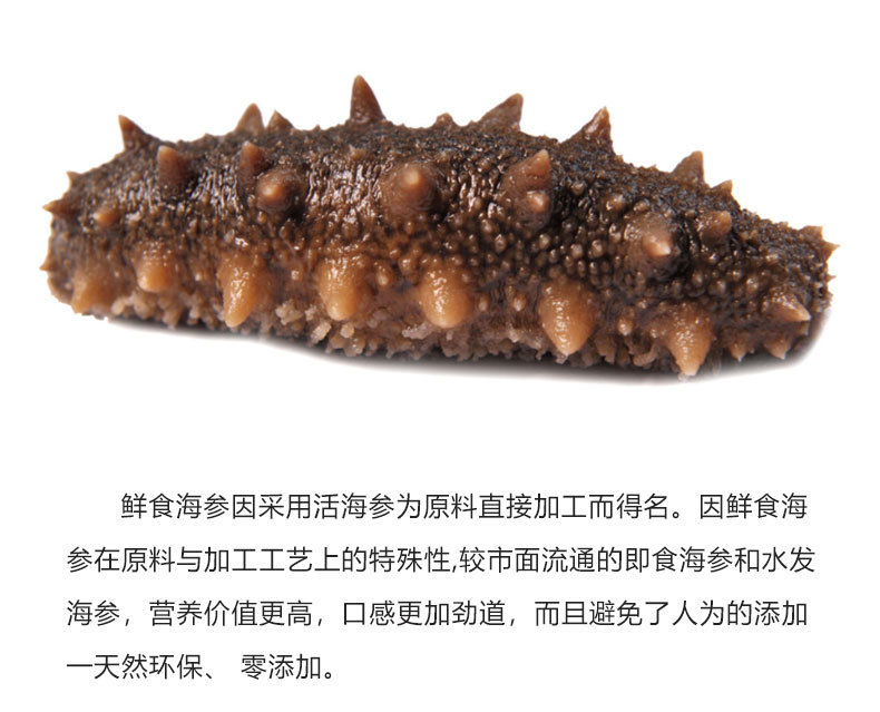 鲜食海参_03.jpg