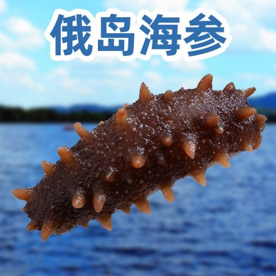 进口俄岛纯淡干深海刺参干制水产品海参餐饮市场海参足干15倍泡发