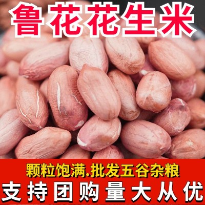 2023年山东大花生新货生花生农家自产无壳大粒干米鲁花去壳