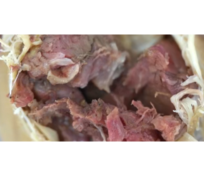 山东夫妻自创小吃，个个包4两肉，每天流水上万元，顾客一买四千
