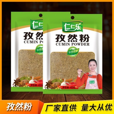 仁仁乐烧烤撒料小吃油炸烤肉粉 腌制调味料孜然粉香辛料35g*30袋/
